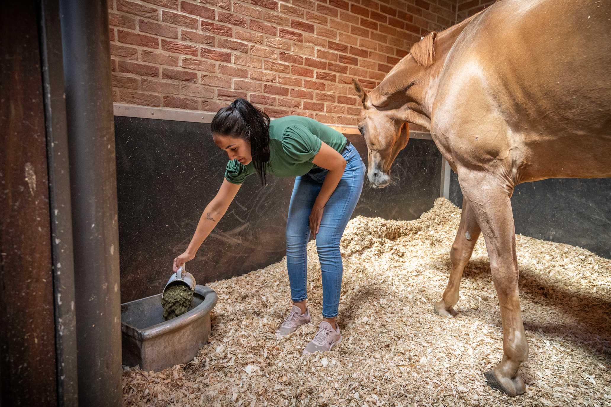 artikel Fiber & REcover mash