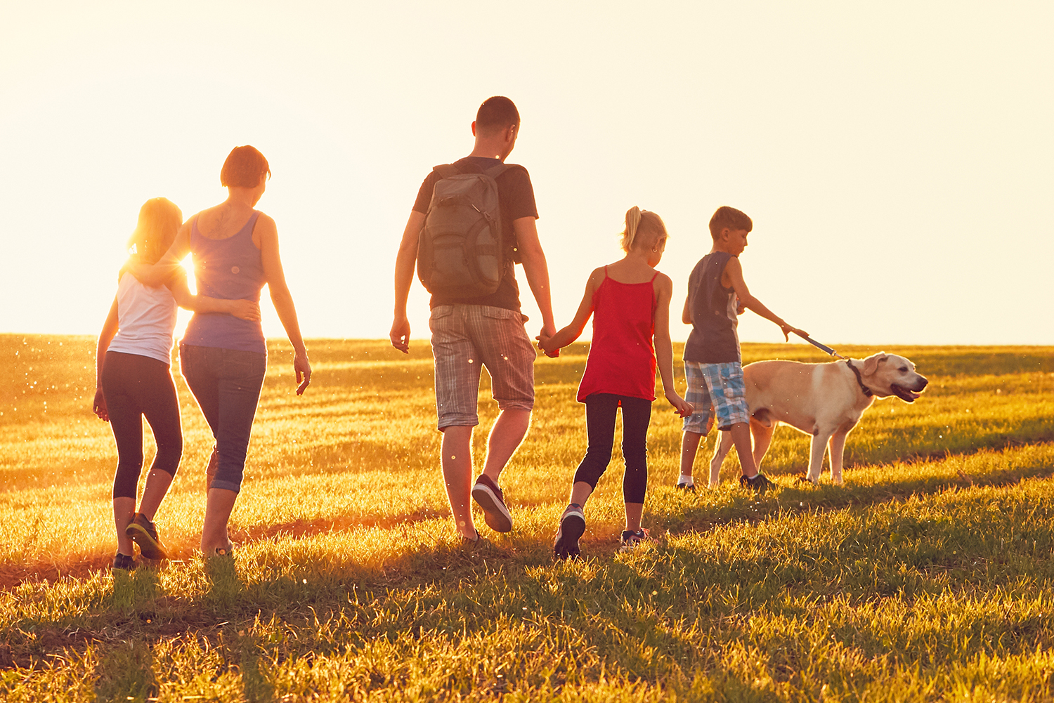 Mooie wandeling met hond: baasje & hond samen - Aveve