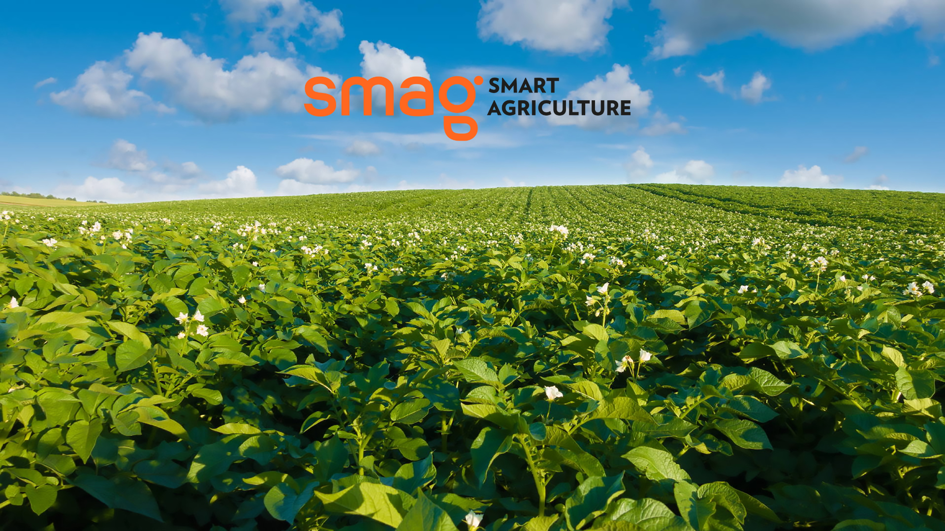 Ben jij voorbereid op de nieuwe digitale regelgeving van gewasbeschermingsmiddelen?