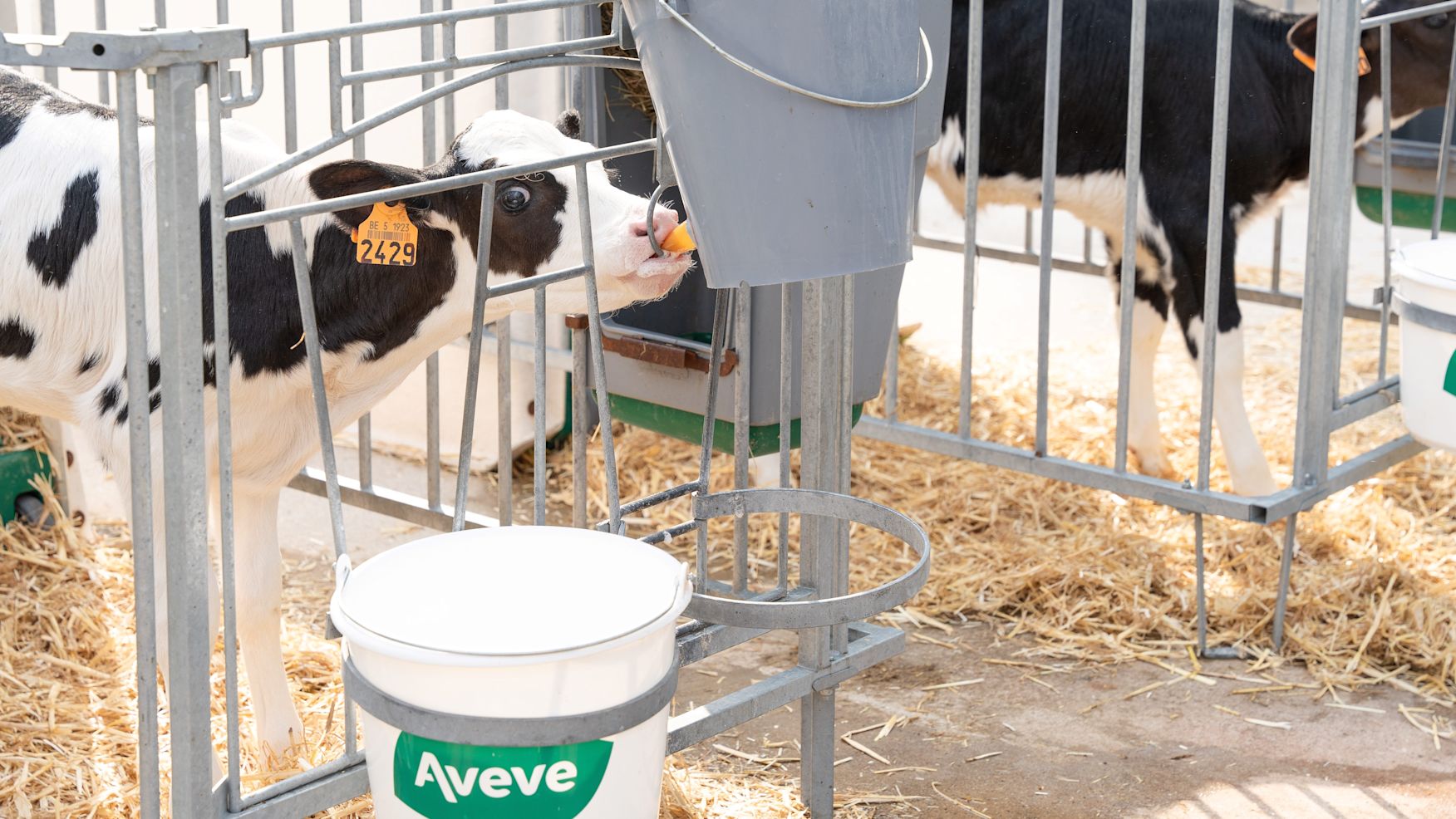 JV_Signalen_Voeding1