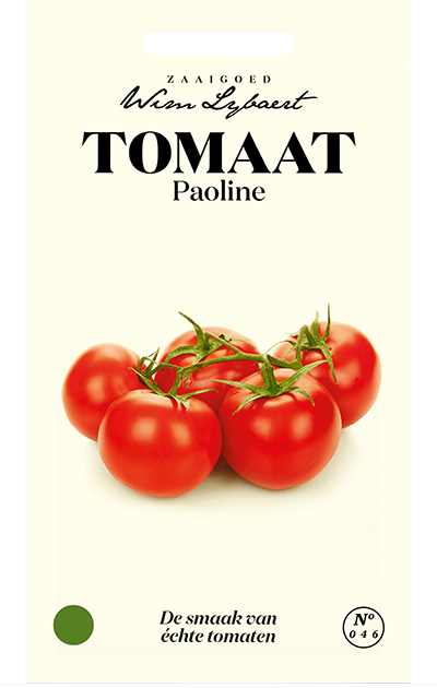 Tomaat Paoline