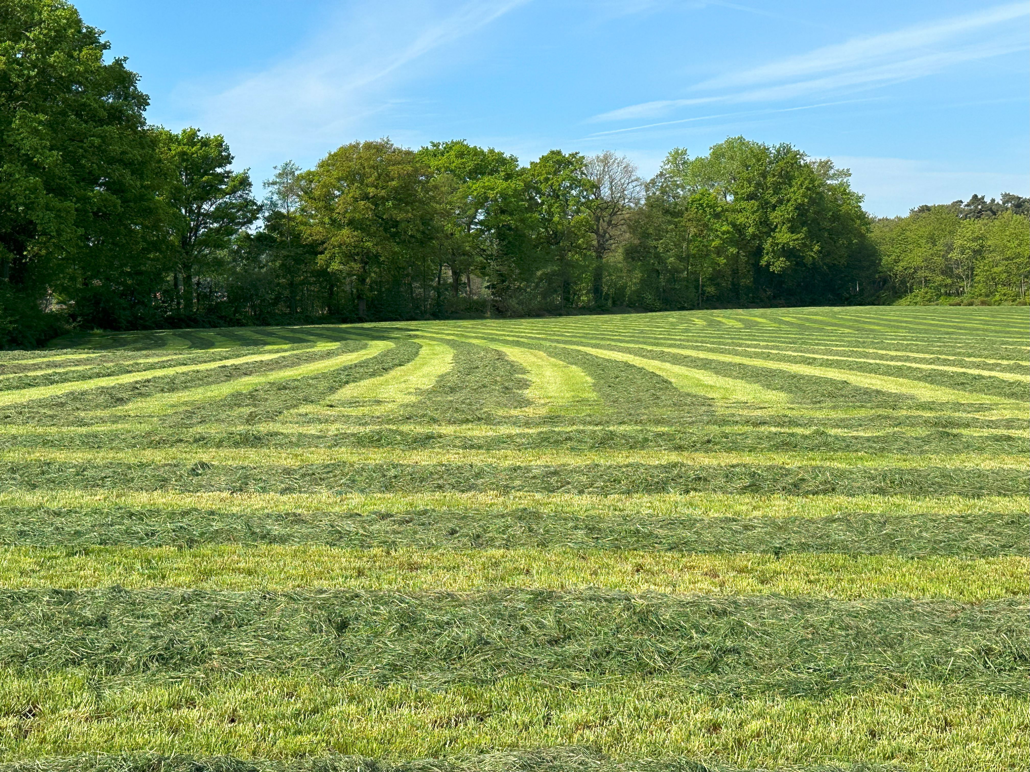 01.09.2025_NIeuwsbrief_AN_gras