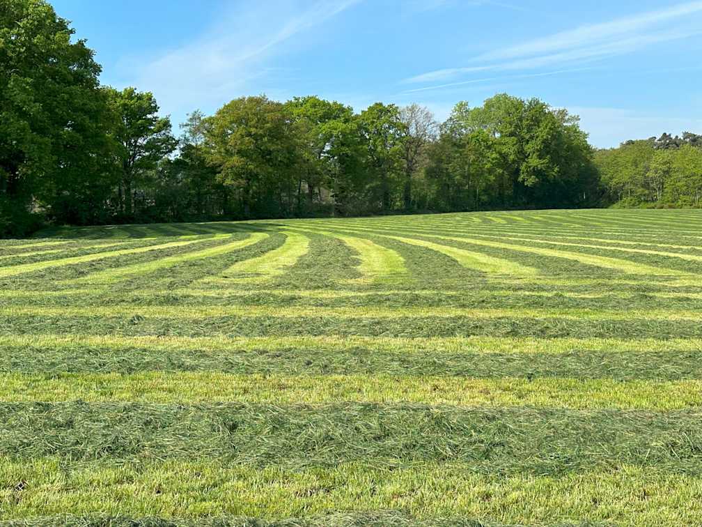 01.09.2025_NIeuwsbrief_AN_gras