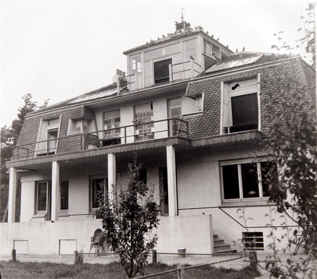 In 1938, a large pigeon