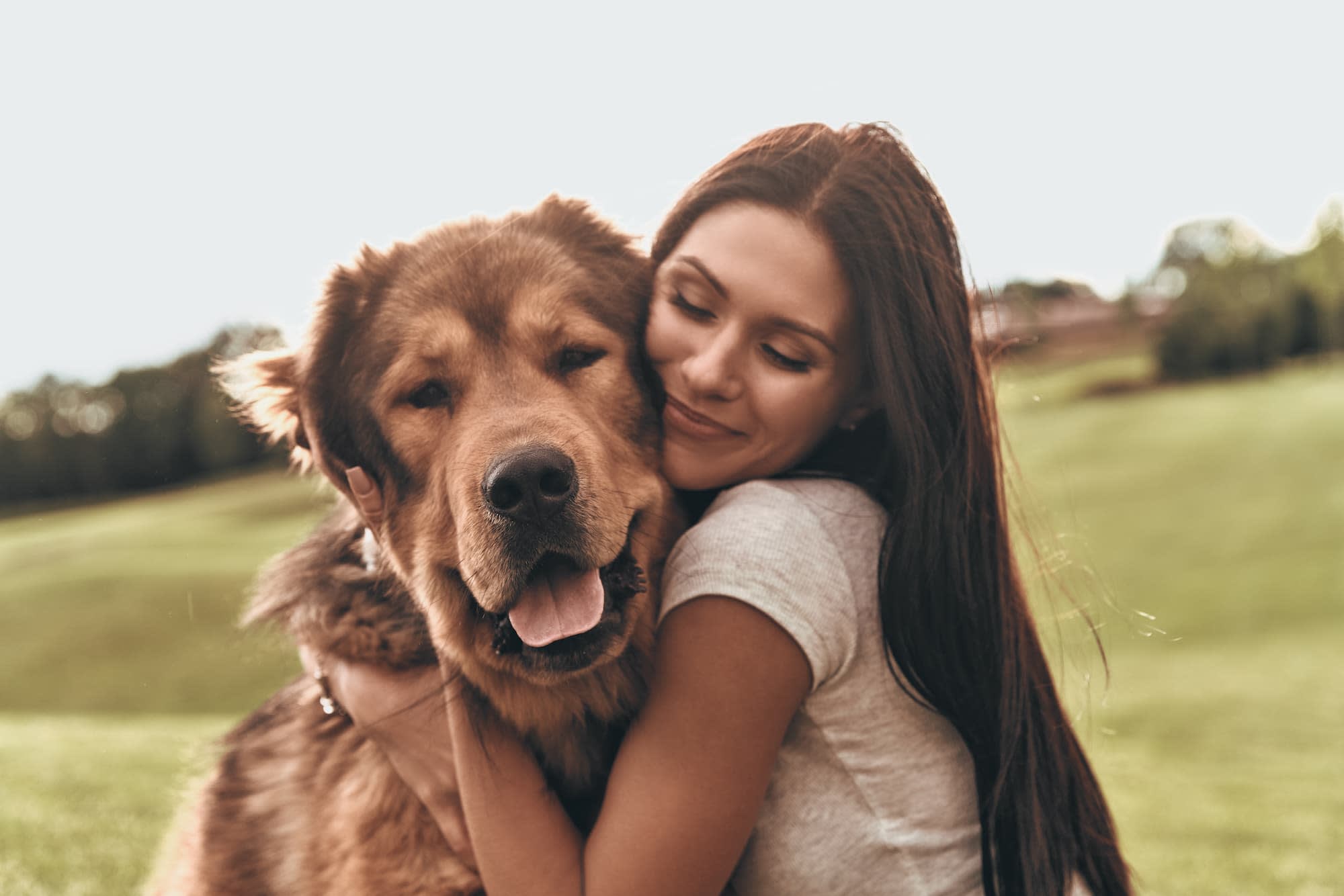 Gezonde hond met baasje - Aveve