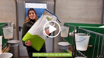 Van Kalf tot Kampioen