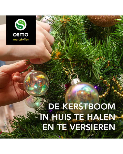 Kerstboom