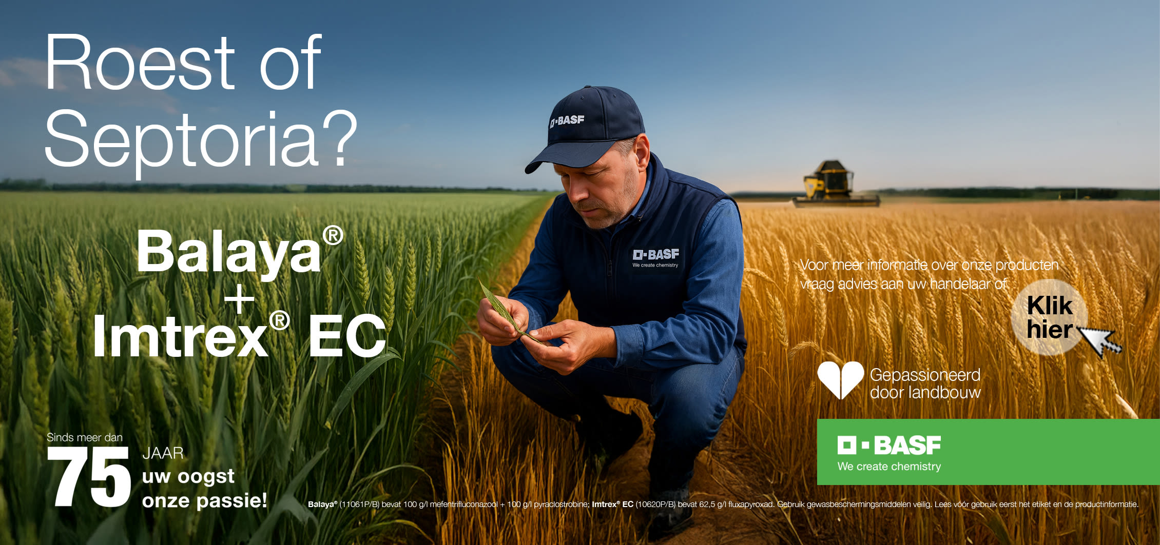 Product in de kijker - BASF - Imtrex/Balaya