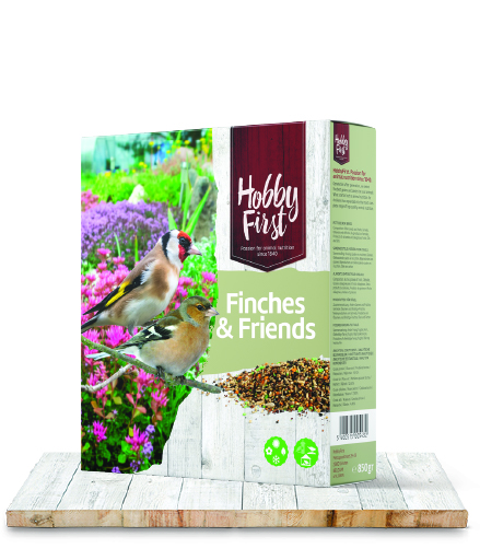 Wildlife Finches & Friends