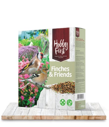 Wildlife Finches & Friends