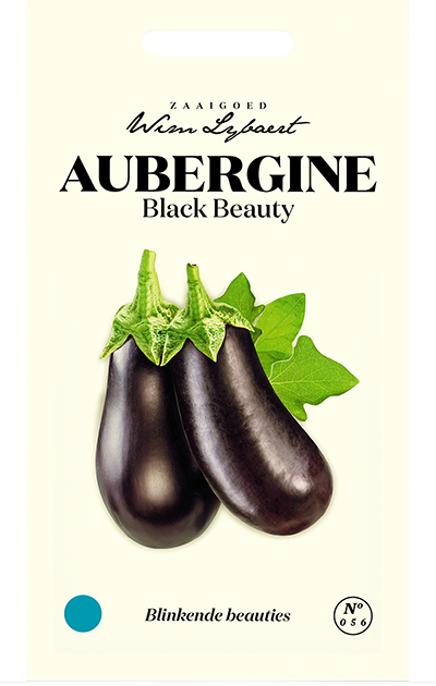 Aubergine Black Beauty