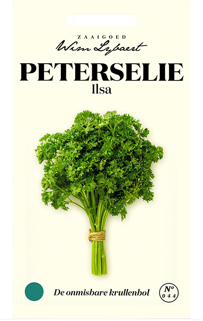 Peterselie Ilsa