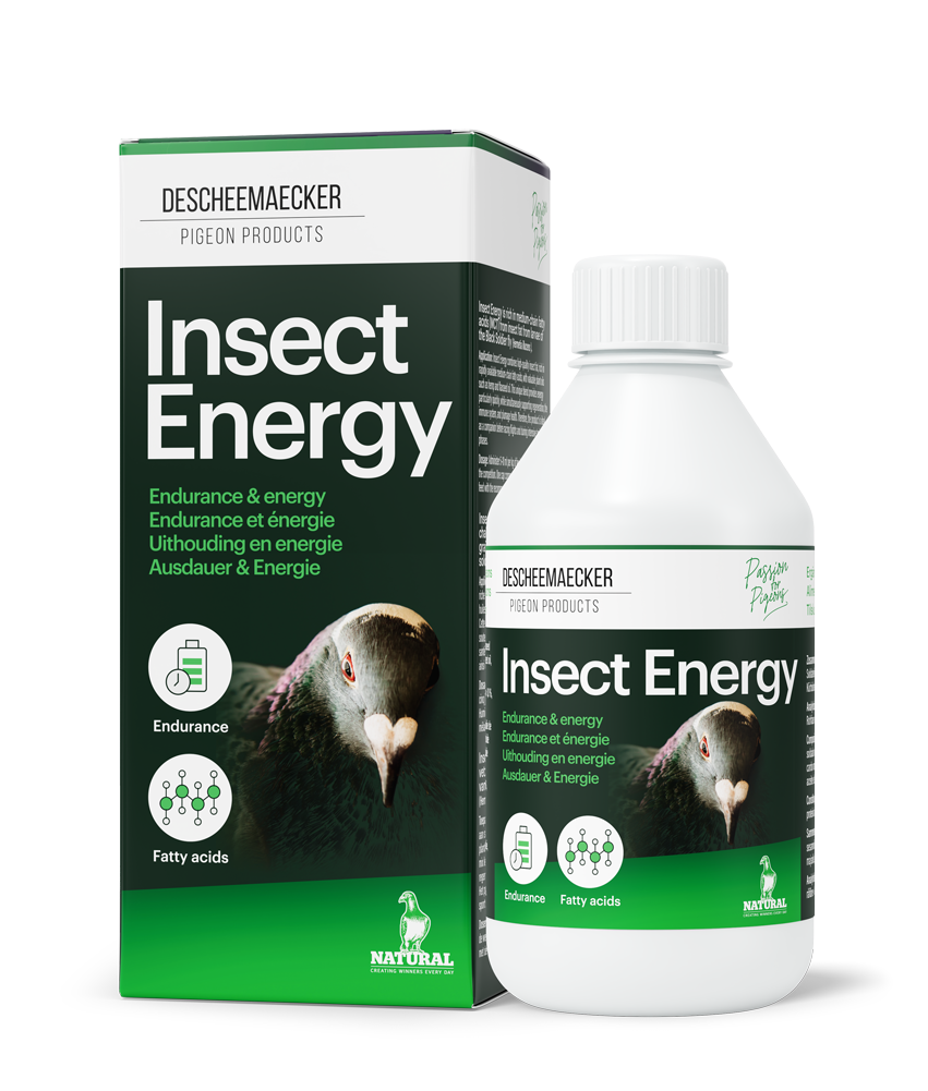 DPC Insect Energy Oil