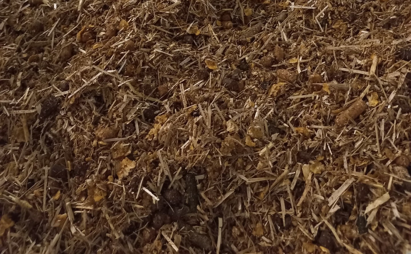 Image card Nr 107 Startmixx All-In Stro VLOG