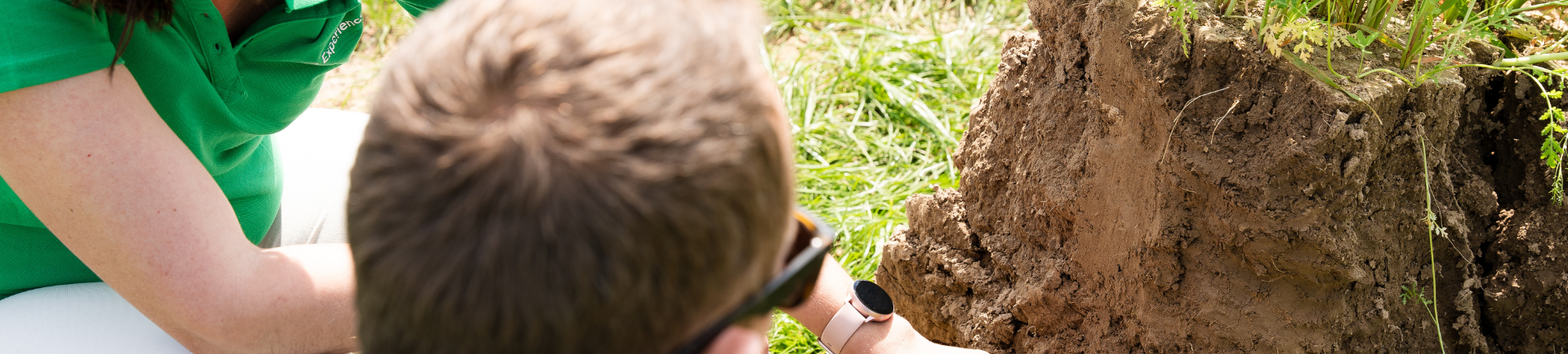 Een geslaagde start van je nieuwe aanplanting? Bereid je bodem voldoende voor!
