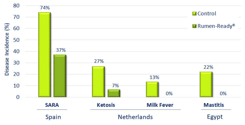 FIGURE 1: RUMEN-READY IMPROVES COW HEALTH