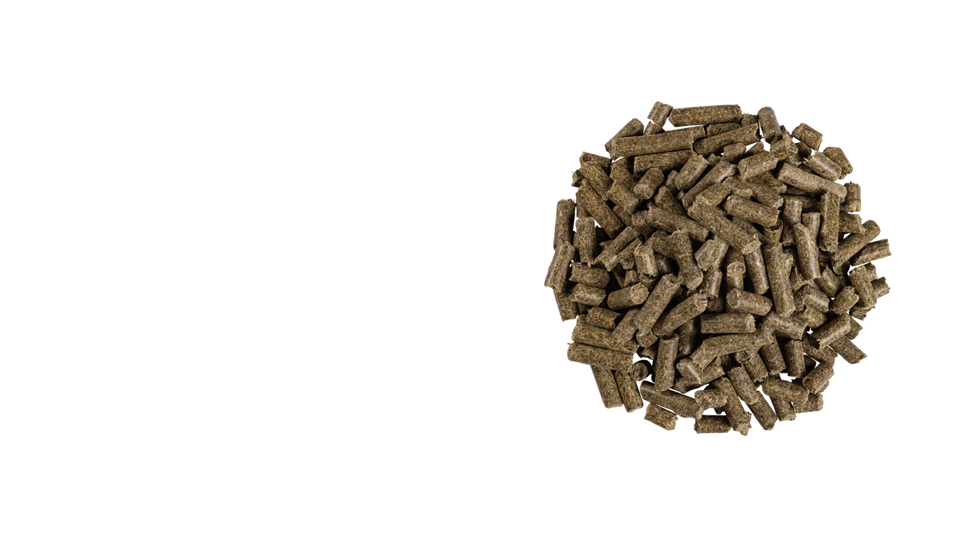 High Protein pellet & Performance Balancer