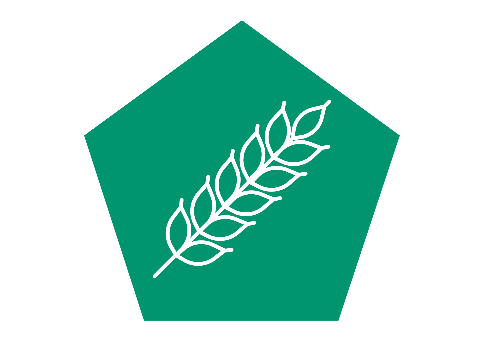 Service Graan drogen