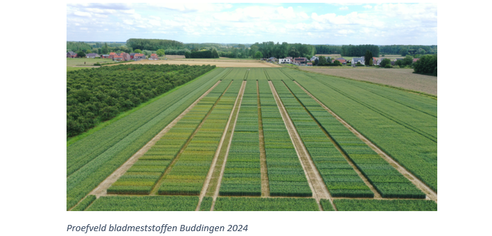 IPO Marine, verzekering voor groei en rendement in granenI&T3