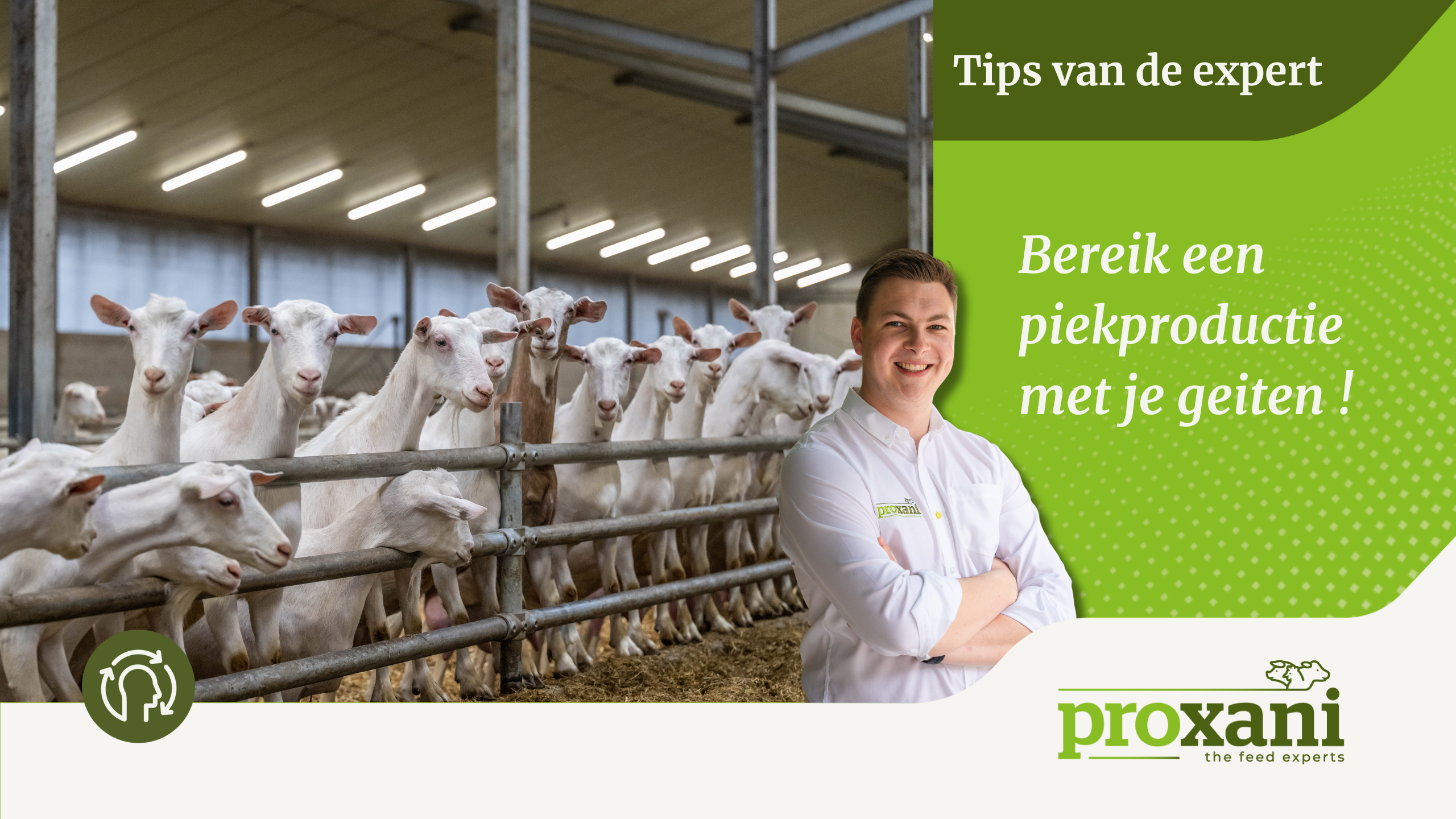 Vlog geiten - piekproductie