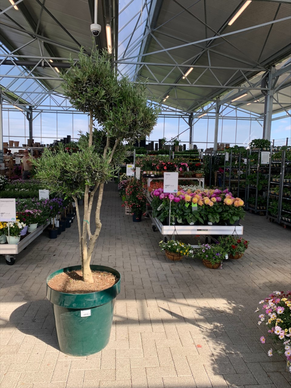 Aveve_magasin_Wevelgem_outdoor2