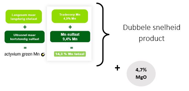 26.08.24_AH Nieuwsbrief_mangaan in aardappelen_dubbele snelheid