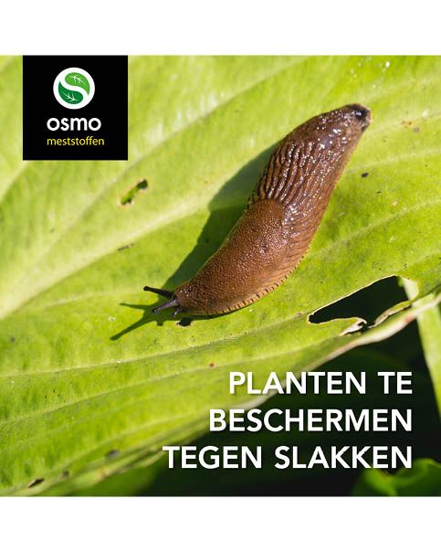 Bescherming tegen slakken