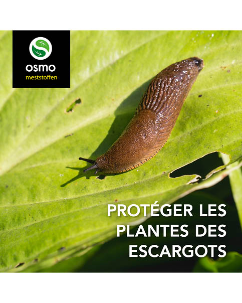 Bescherming tegen slakken