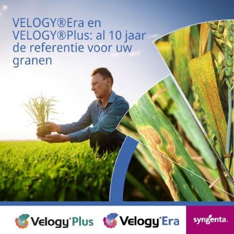 Product in de kijker - Syngenta - Velogy Era & Velogy Plus