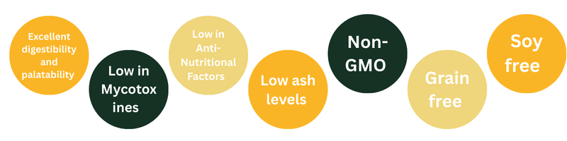 Nuverta Pea Protein for Animal Nutrition I1