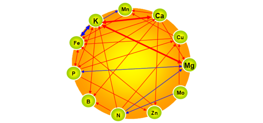 Mangaan figuur 3 968x455px