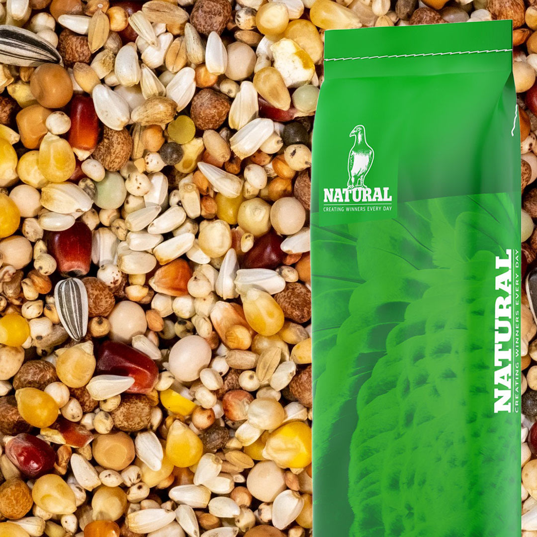 Image Natural Maxi Kweek 3M Popcorn