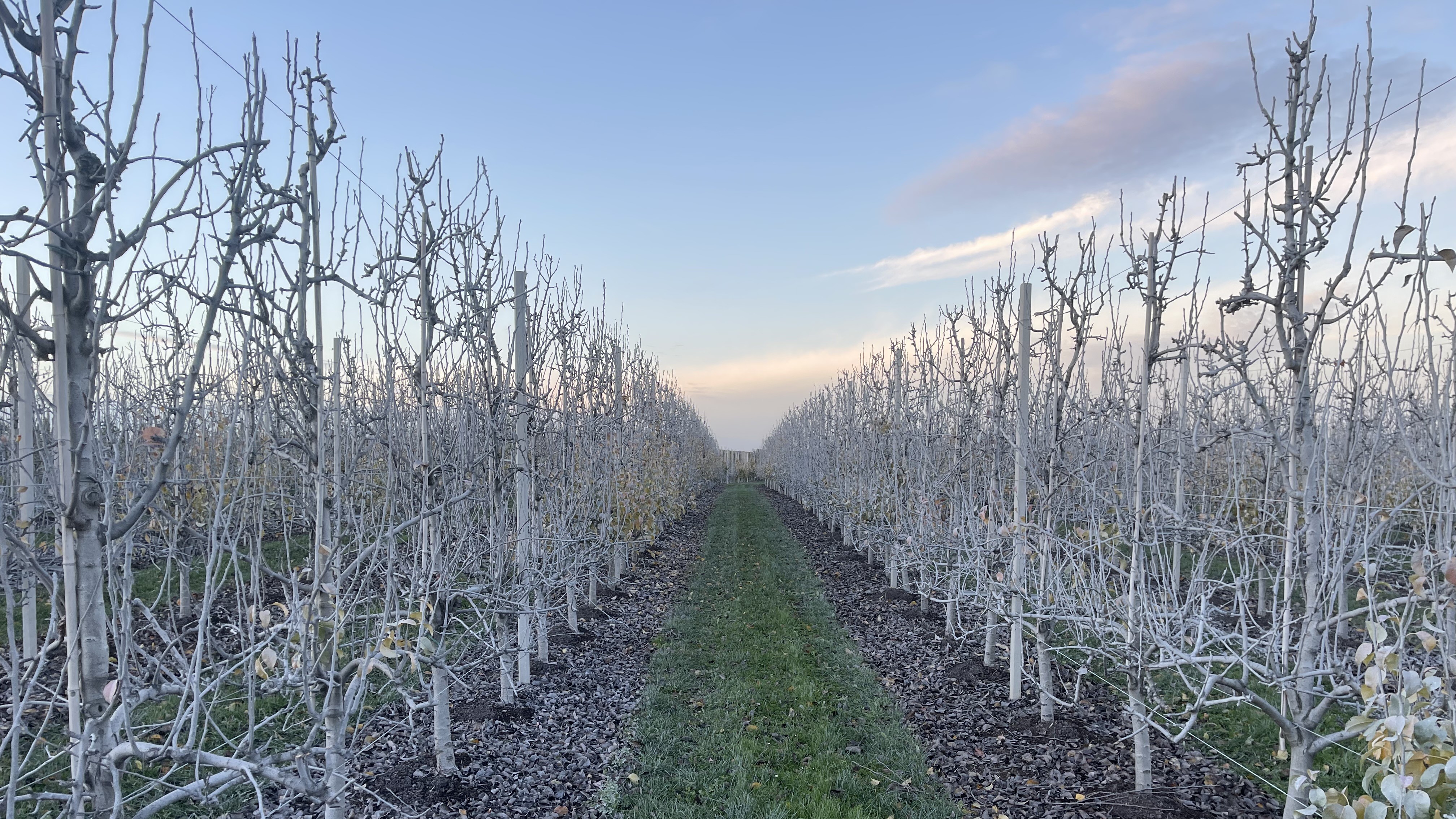 Product in de kijker - Surround