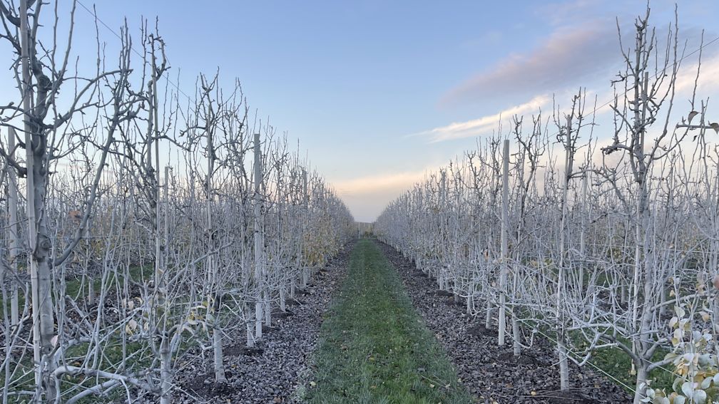 Product in de kijker - Surround