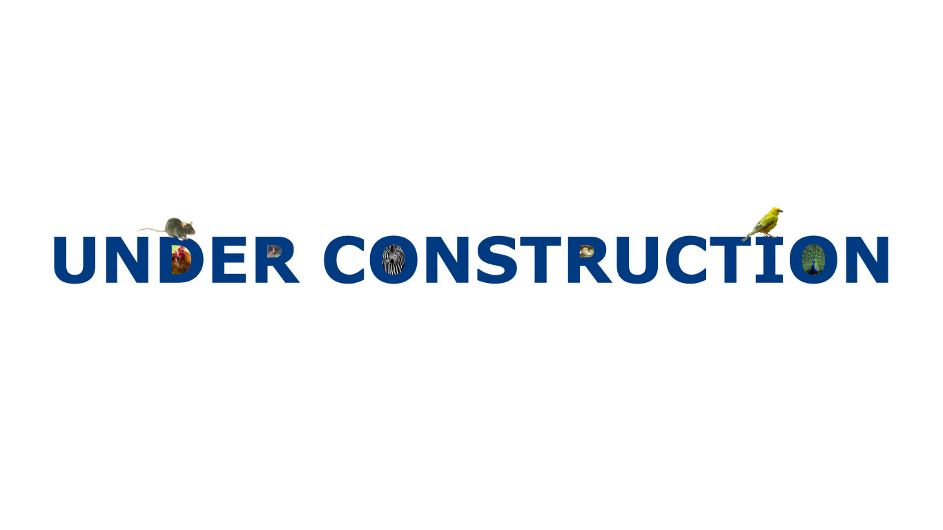 Under construction