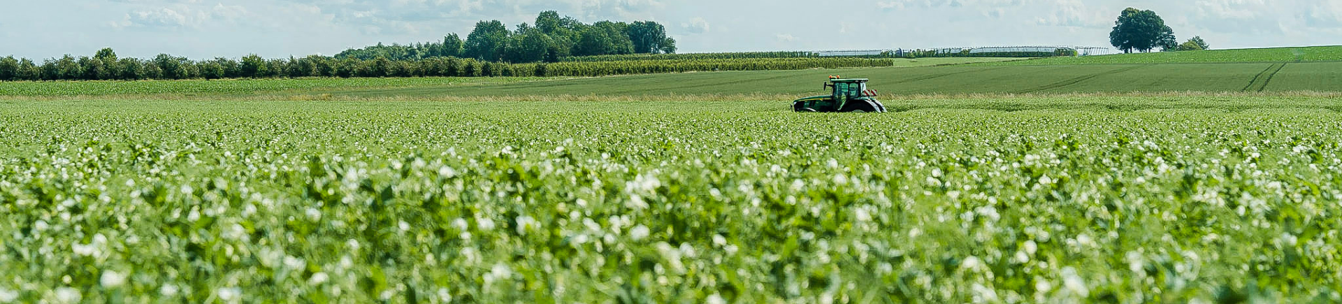 Landingspagina FSSC 22000 certificaat banner