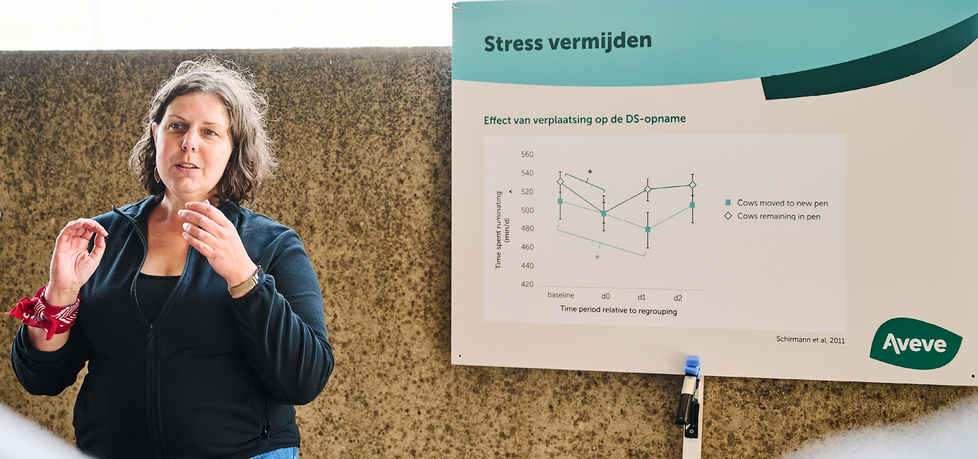 Melkvee onze expertise 968x455px