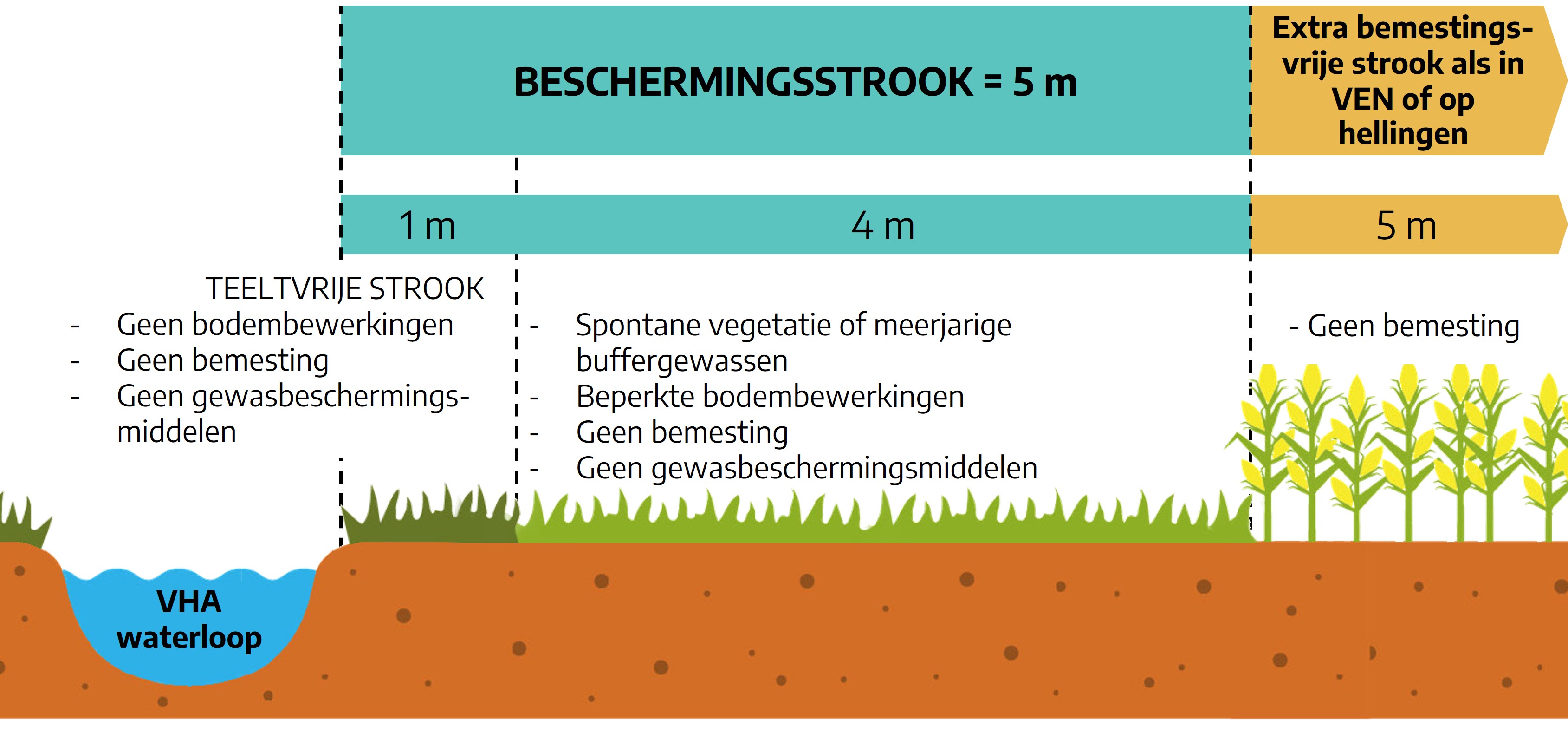 25.02.2026_Nieuwsbrief AH_Beheer van jouw beschermingsstrook RTS1