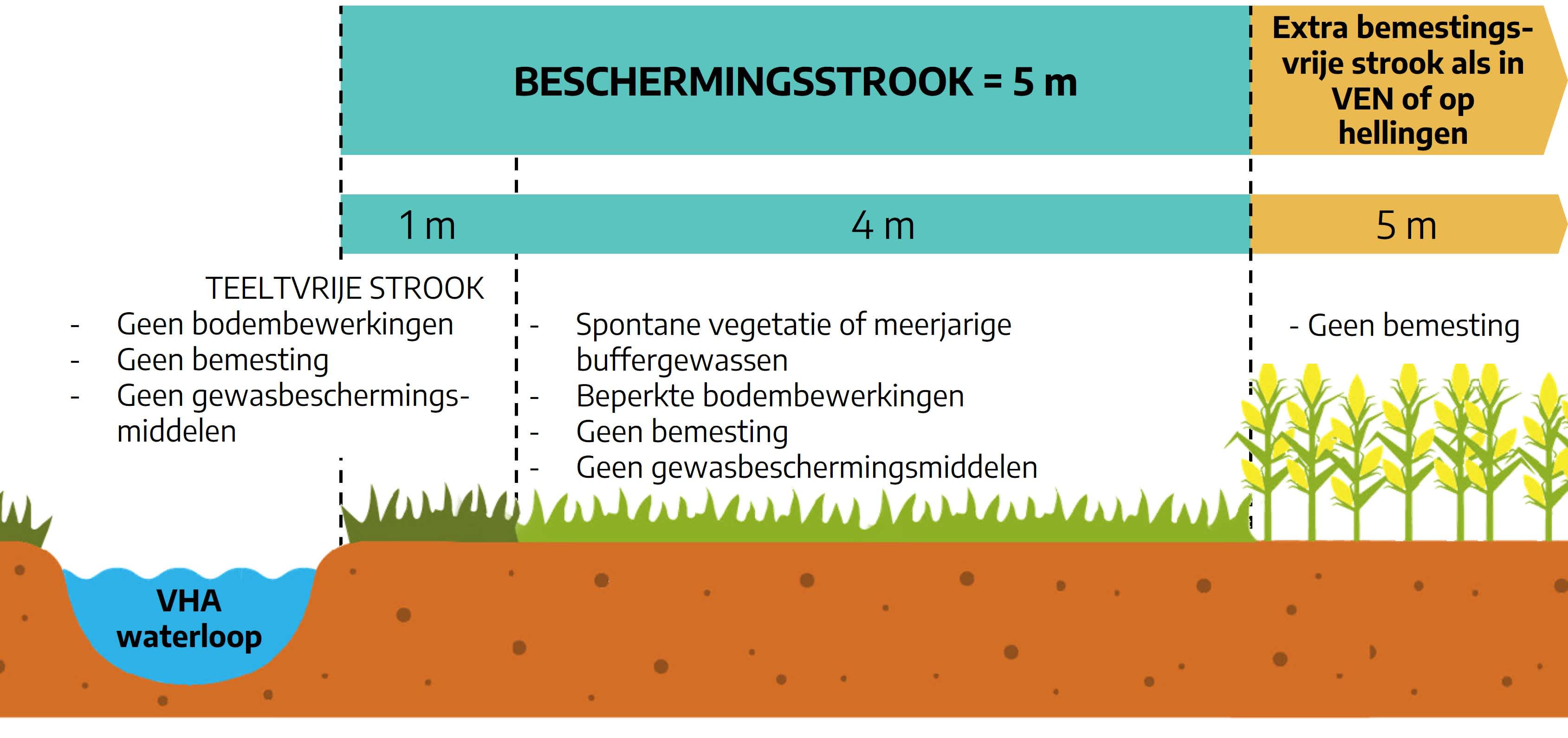 25.02.2026_Nieuwsbrief AH_Beheer van jouw beschermingsstrook RTS1