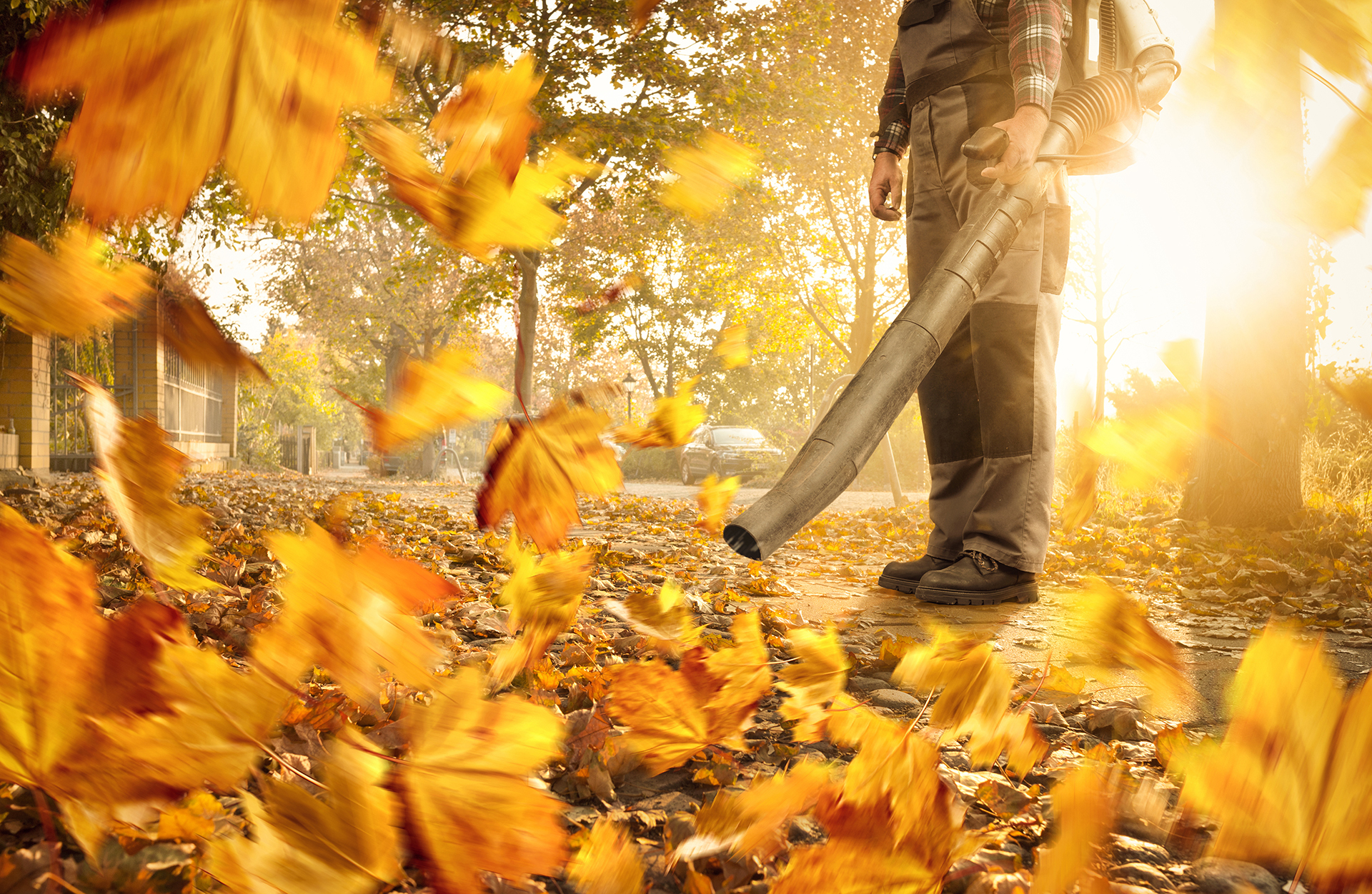 Alles voor je tuin aveve bladblazers