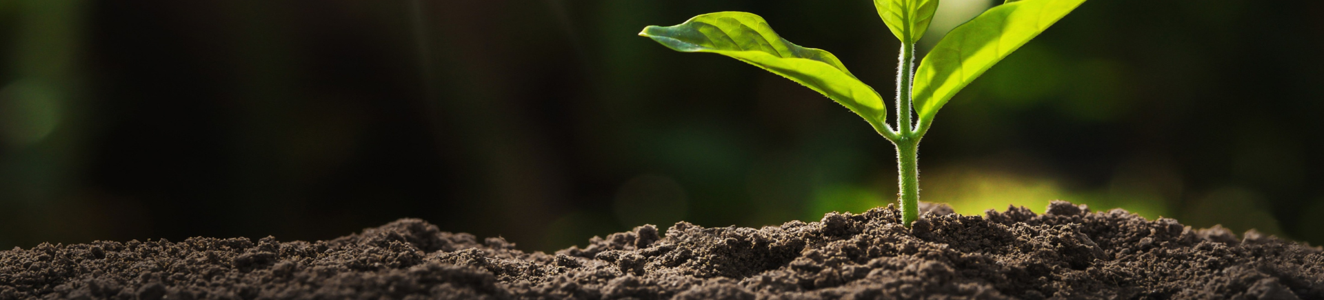 14.10.2025_Nieuwsbrief AH_Bodemstaalanalyse - jouw startpunt voor een sterk seizoen 2