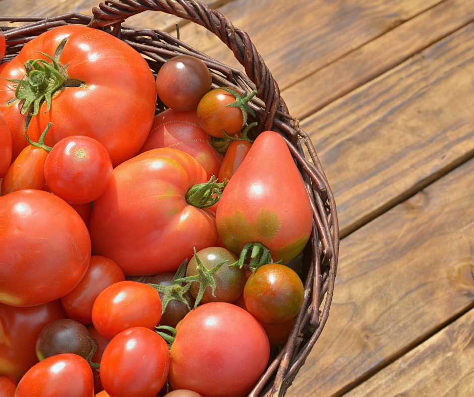 Tomaten kweken doe je zo