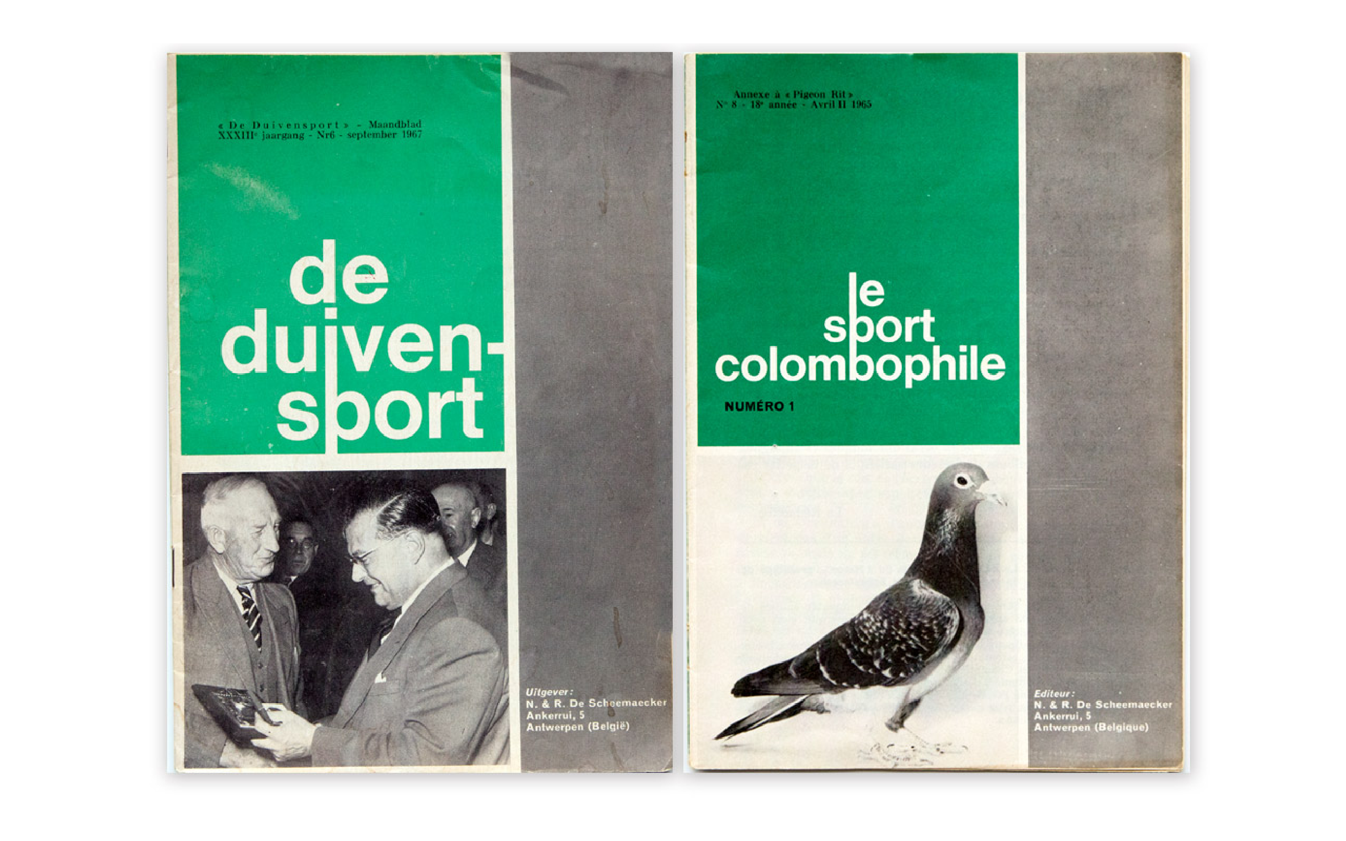 'Het Duivensport'