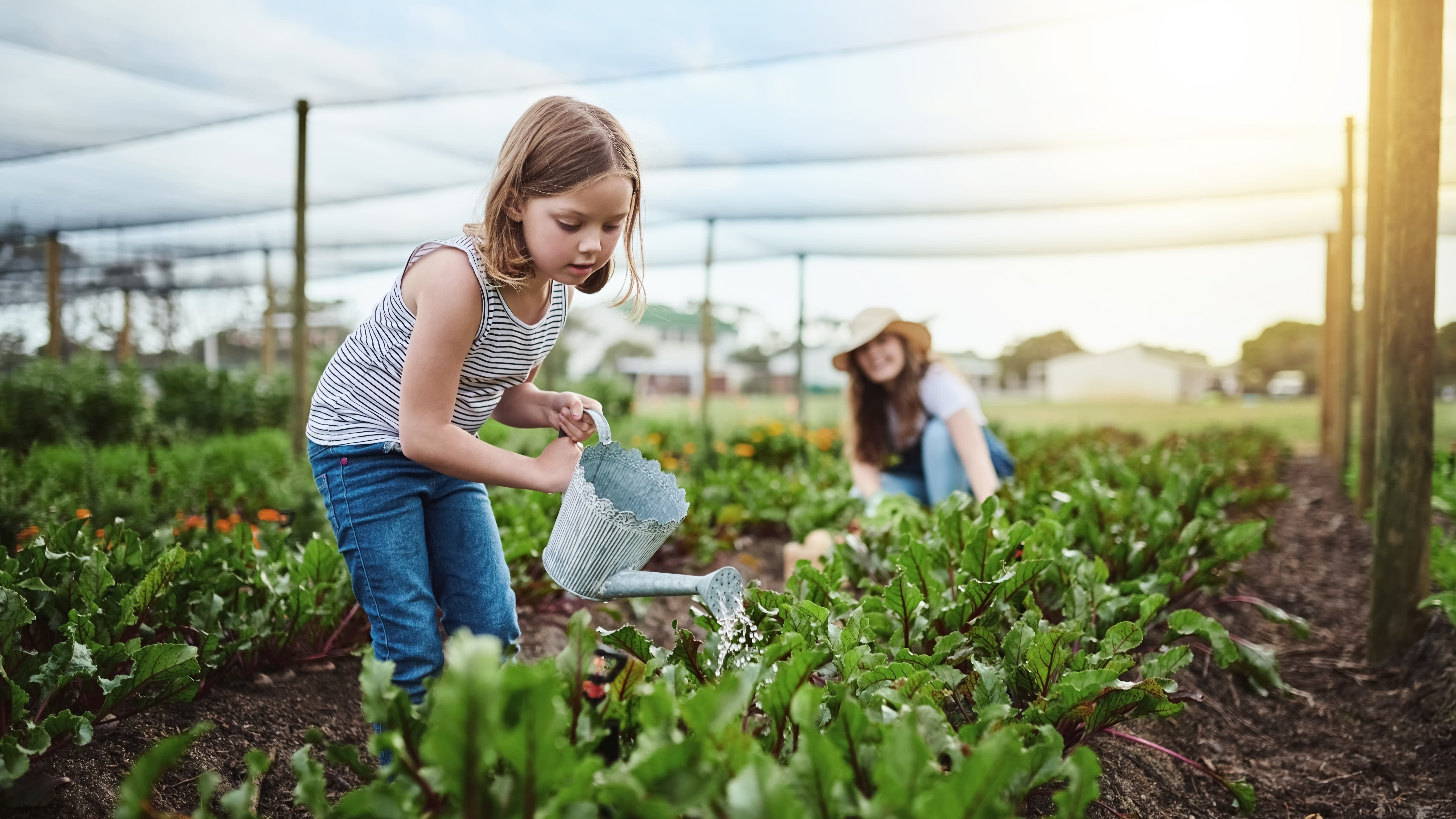 Image d’une petite fille qui jardine dans le potager - Aveve