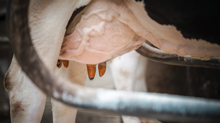 Veehouderijproducten