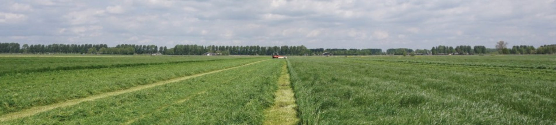 12.02.2026_Nieuwsbrief AH_Haspagras: de allround basisbemesting voor een optimale grasgroei 
