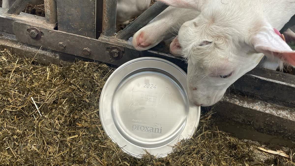 01.08.2025_Nieuwsbrief_AN_Vlassenbroeck