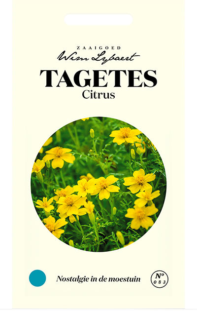 Tagetes Citrus