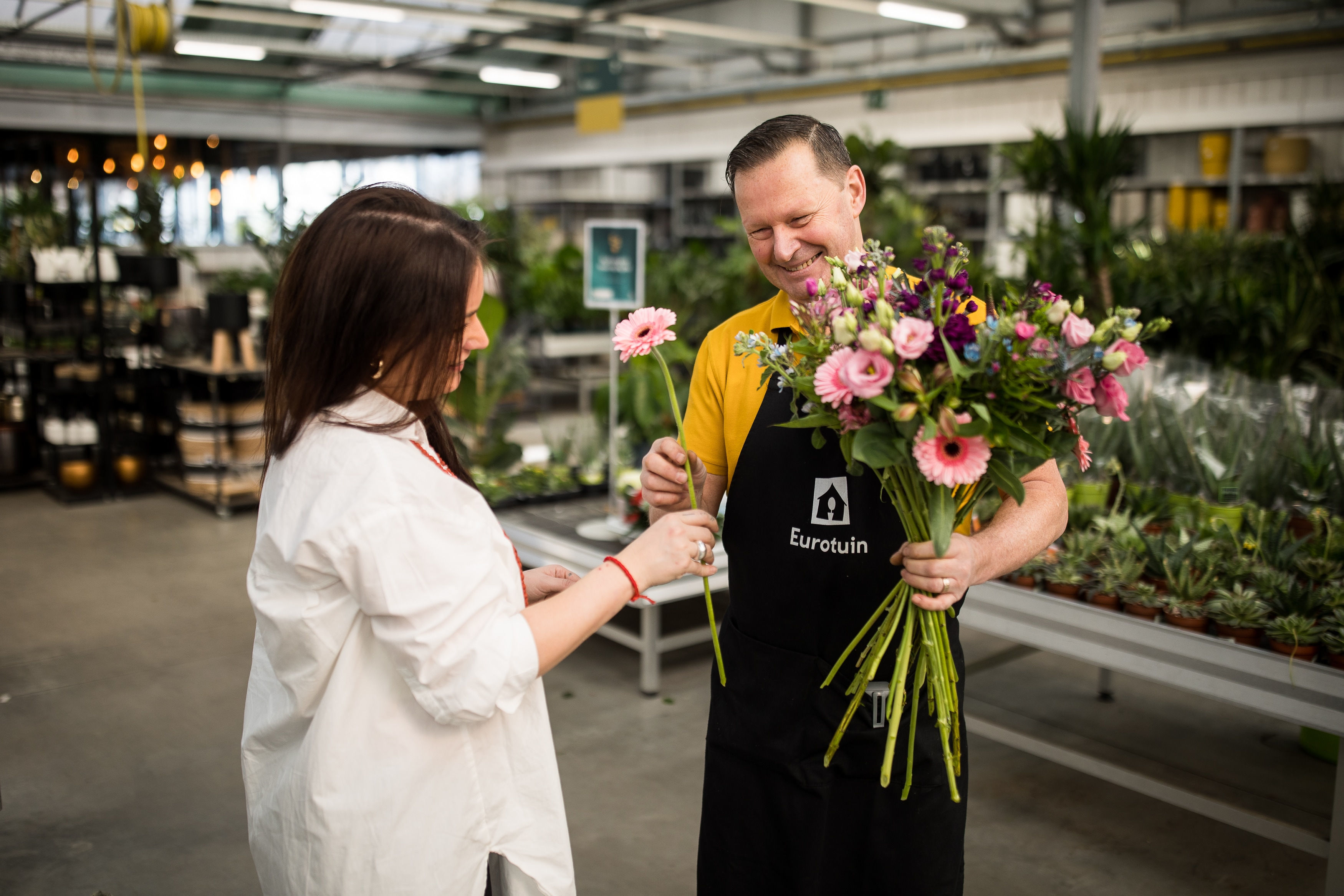 image: fleuren waarden