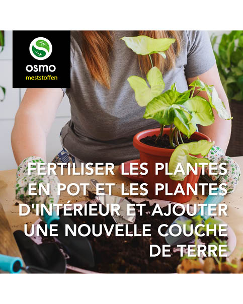 Bemesten kamerplanten